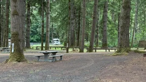Section D -  Tree Canopy Area — image 1 of 6