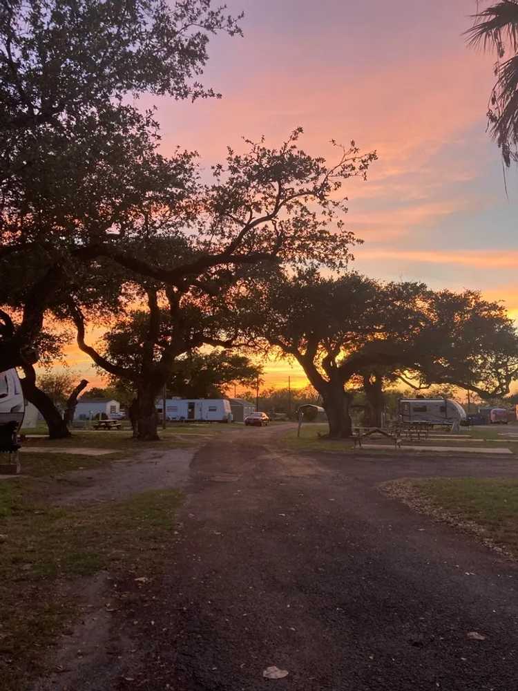 Taylor Oaks RV Park - Photo 2