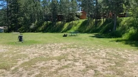 Tent Drive In , Along Mickelson Trail (No Power) — image 3 of 3