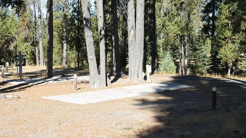 30 Amp Pull Through RV Site — image 1 of 1