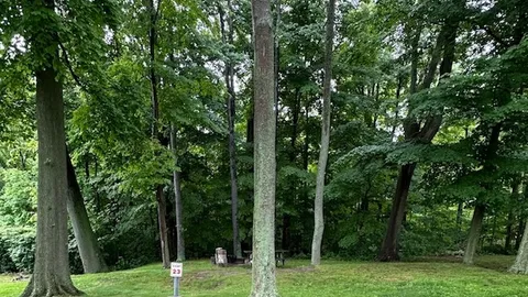 Wooded Primitive  Site — image 8 of 8