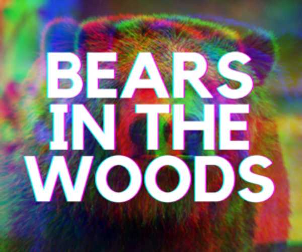Bear Hunt in the Woods THEME weekend - Reduced rates this weekend!