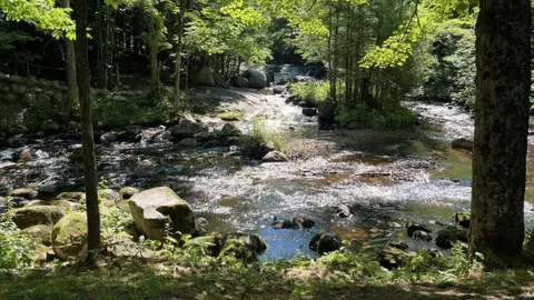 Singing Waters Campground - Double Site — image 2 of 13