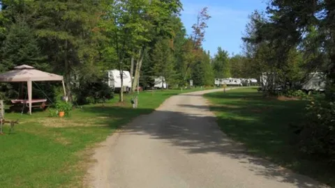 Forest Site — image 2 of 5