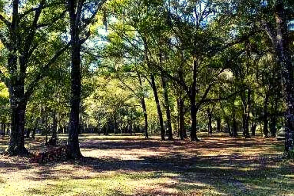 D&R RV Park & Equine Training Center – photo 1
