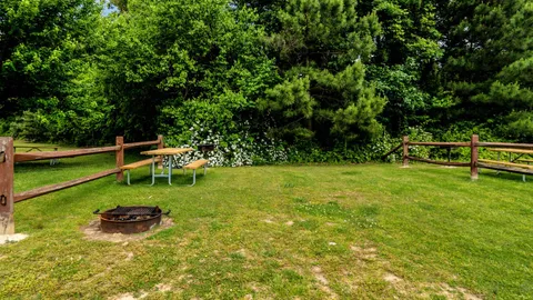 Primitive Tent Site — image 2 of 3