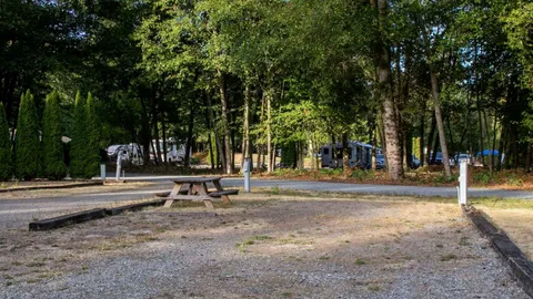 Open-Full Hookup PULL-THRU 50/30/20 Amp RV Site — image 1 of 2