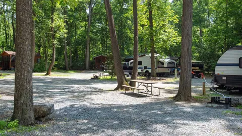 Woodland Premium Pull-Thru RV Site — image 6 of 6