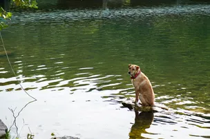 Jessica Hollis Park – photo 3
