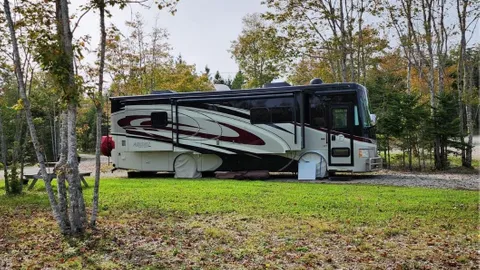 Standard Pull-Through RV Site — image 1 of 5