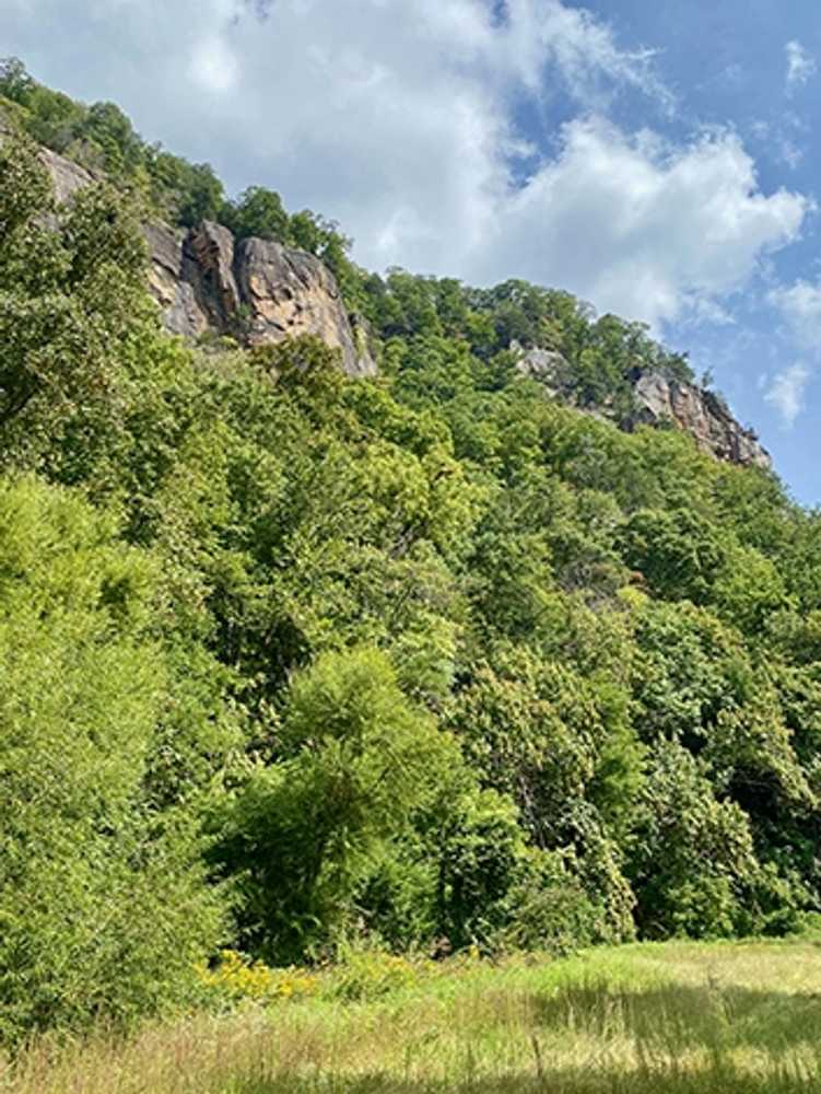 Silver City Campground, Chimney Rock, North Carolina - Photo 5