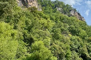 Silver City Campground – photo 5