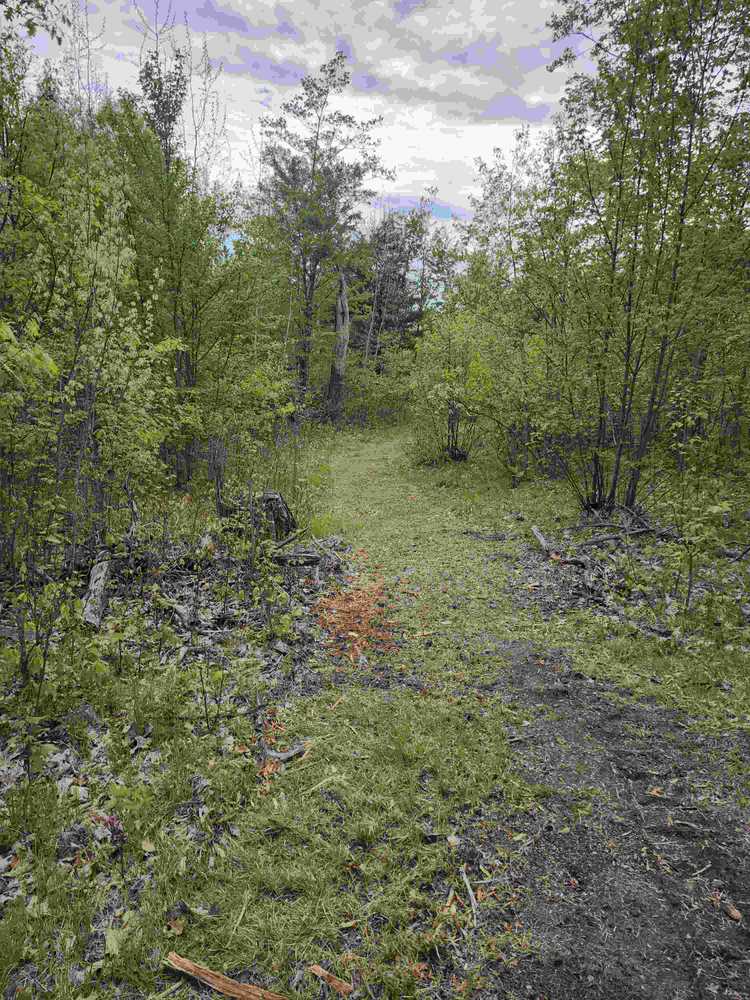 Bambi Lake Camp, Roscommon, Michigan - Photo 2