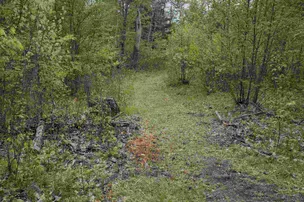Bambi Lake Camp – photo 2