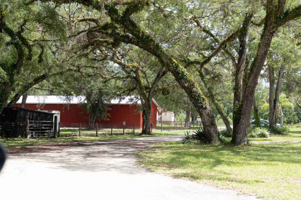Homebound RV Parks, Bushnell, Bushnell, Florida - Photo 2