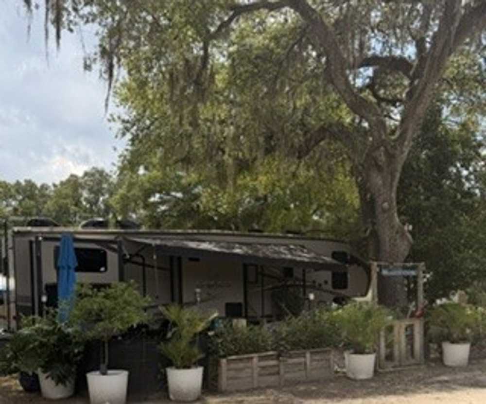 Chiefland RV Park - Chiefland, FL - Main Photo