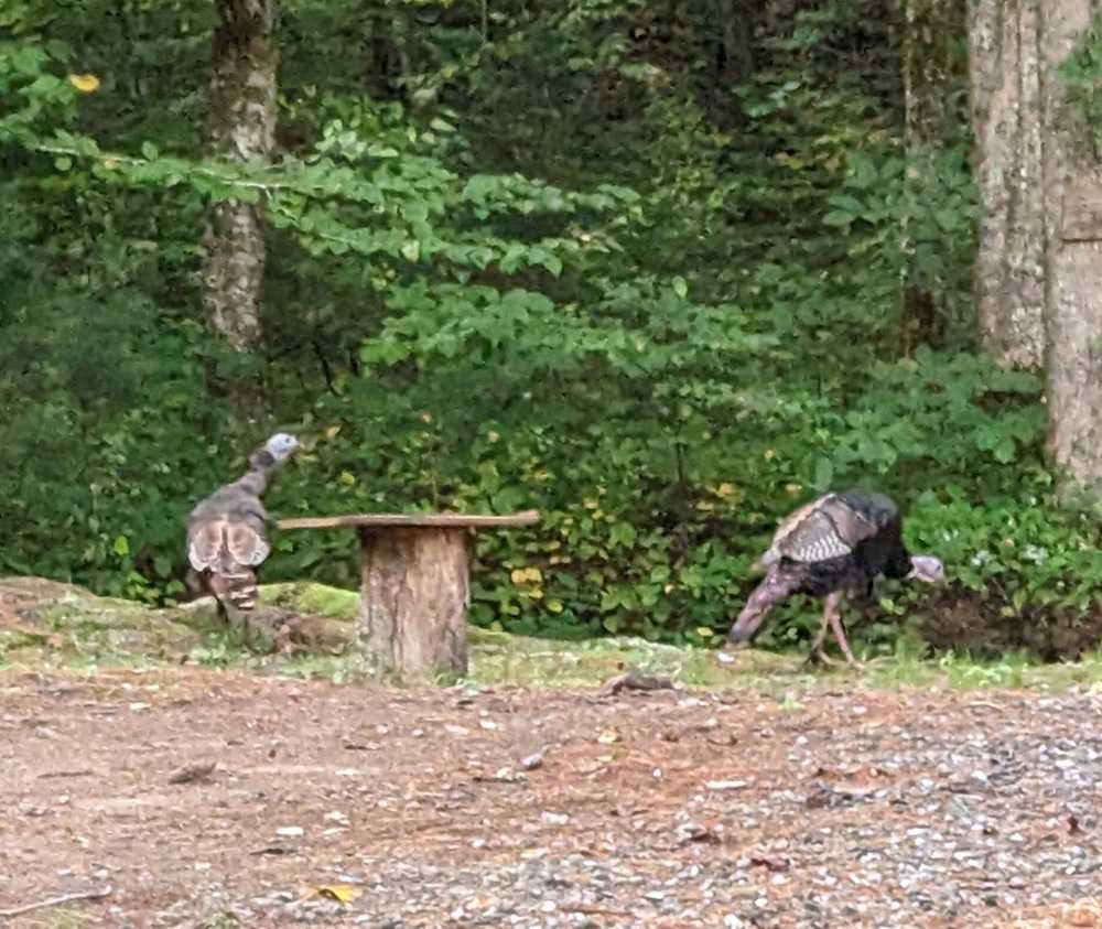 Park Image 19