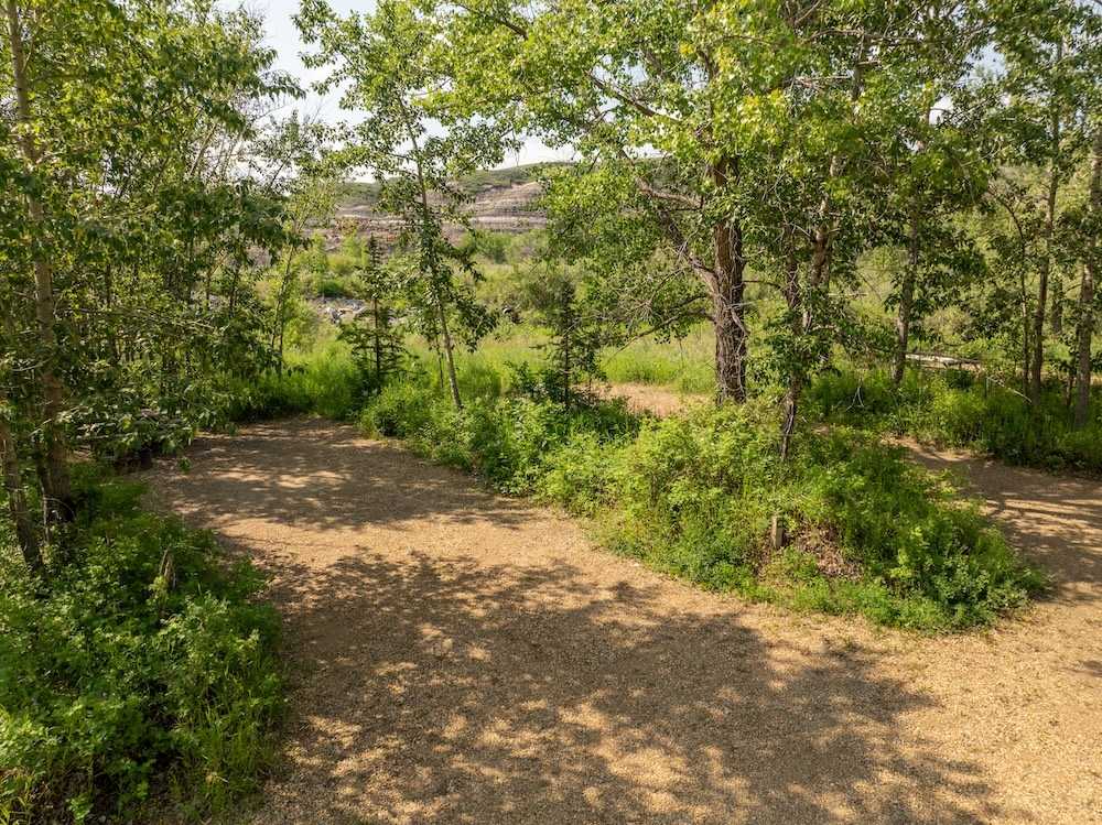 Park Image 5