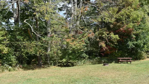 Dry Camping Field  Site — image 2 of 6