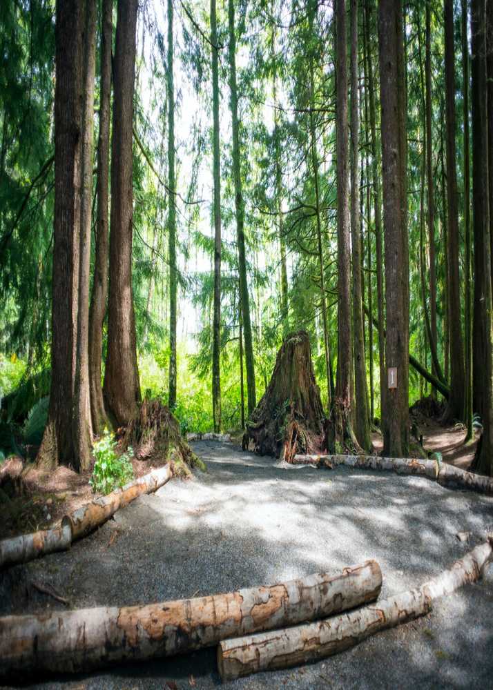 West Coast Campground - Photo 4