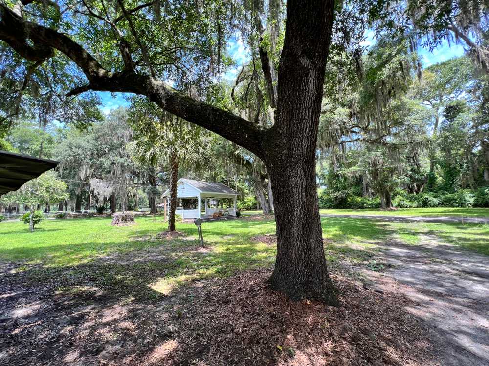 Park Image 3