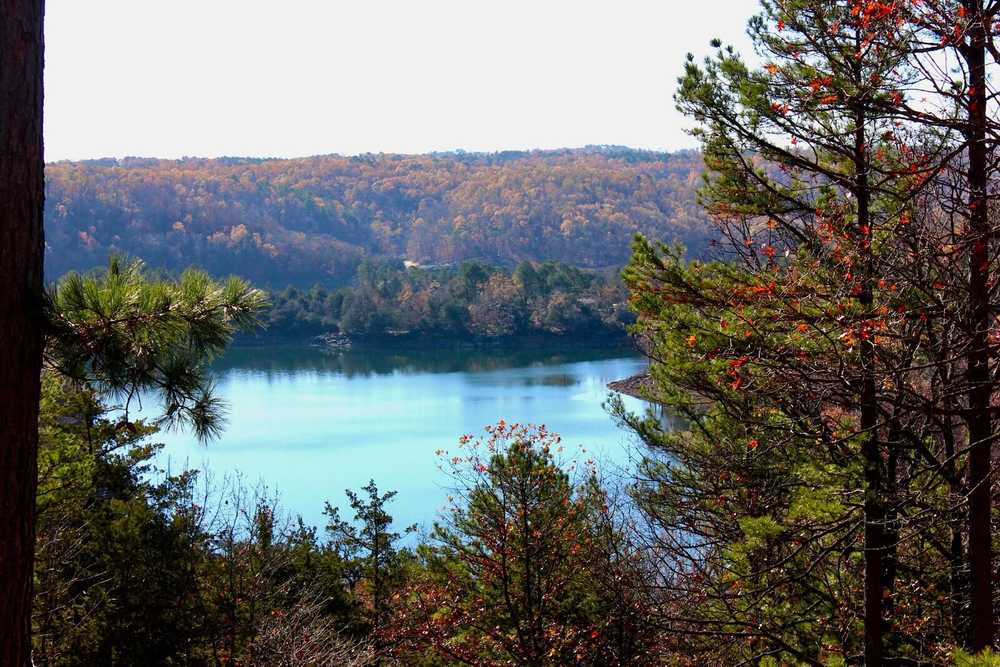Beaver Lake RV Park & Glampground, Rogers, Arkansas - Photo 3