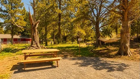S9 – Spacious 19×30 RV and Tent Site (Up to 30 ft) — image 1 of 10
