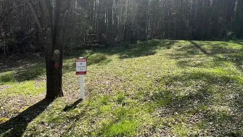 Primitive Tent Site — image 2 of 2