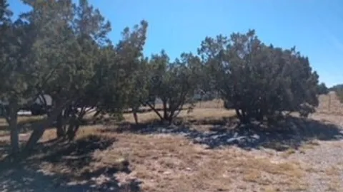 Primitive Tent Site — image 1 of 1