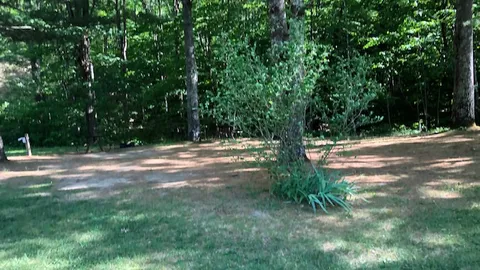 30 Amp RV Site Water electric only (Babbling Brook) — image 6 of 6