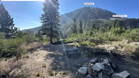 Standard Rustic Campsite (no hookups) — image 2 of 19