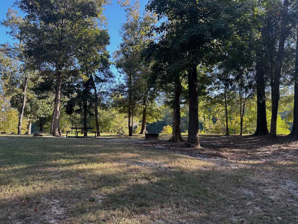 Park Image 10
