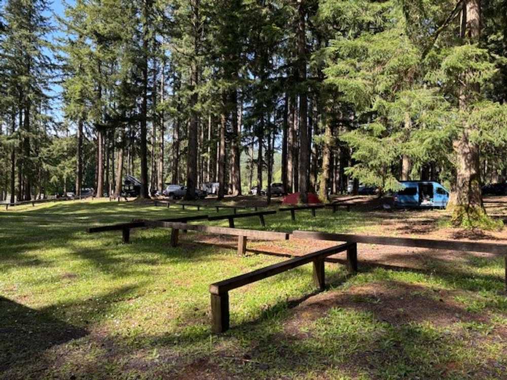 Straddleline Park, McCleary, Washington - Photo 2
