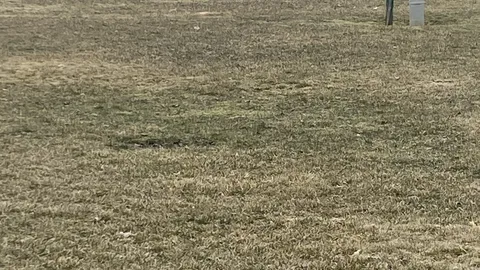 30 Amp Back in, Grass site — image 1 of 2