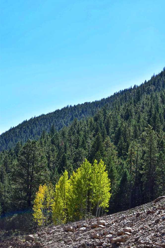 Idaho Springs RV Resort and Campground, Idaho Springs, Colorado - Photo 3
