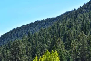 Idaho Springs RV Campground – photo 3