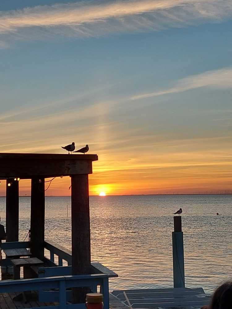 Winter Haven Resort, Brownsville, Texas (Age Restricted 55+) - Photo 5
