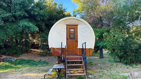 Covered Wagons — image 2 of 4