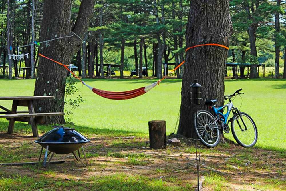 Eastern Slope Camping Area - Photo 5