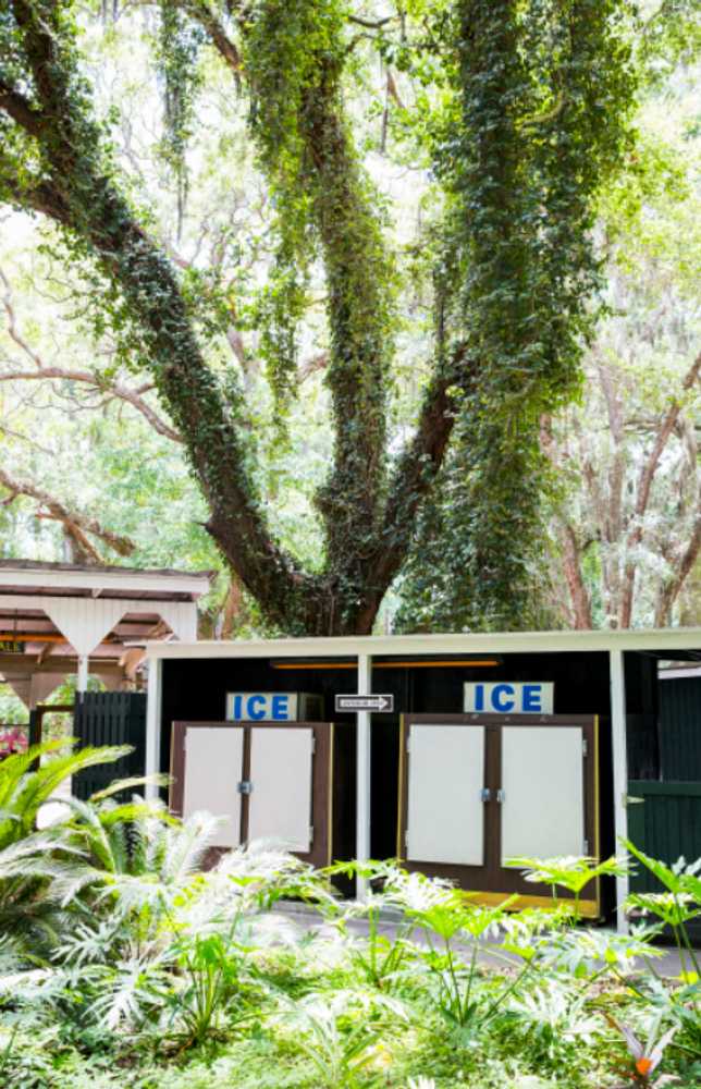 Jekyll Island Campground - Photo 5