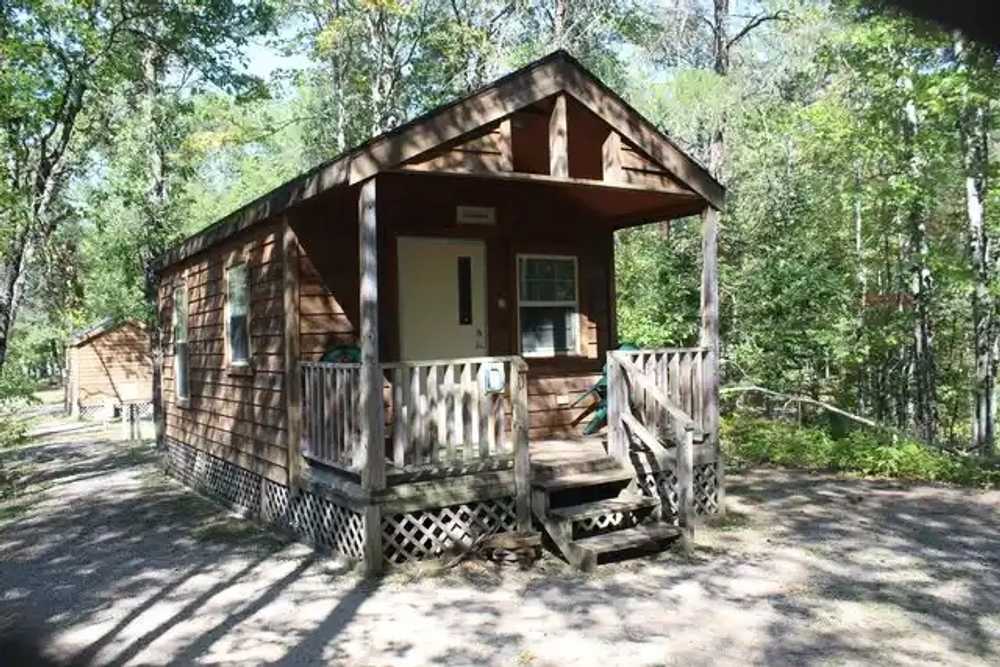 Twin Bears Wooded Campground - Indian River, MI - Photo 4
