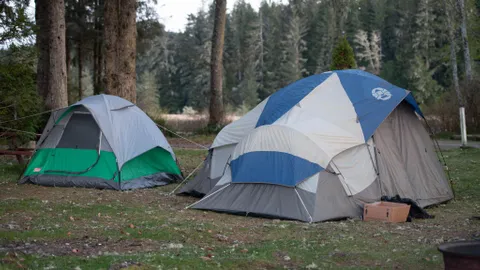 Un-serviced Wood Land Tent Sites (87 & 88) — image 1 of 3