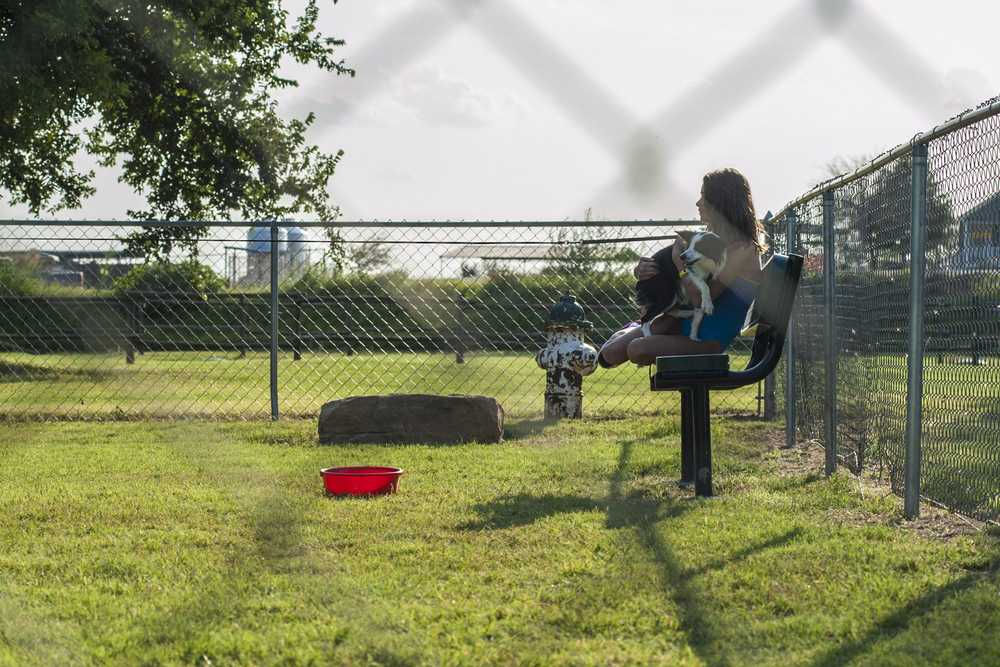 Park Image 8