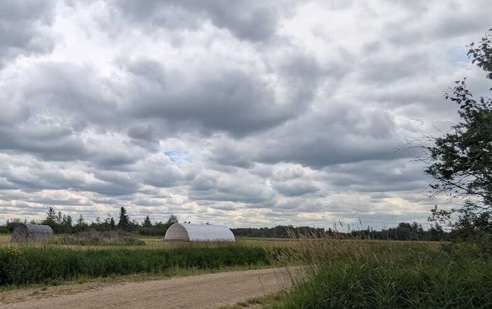 Northern Lights RV Resort, Hamlin, Alberta - Photo 5