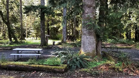 RV Site 30 Amp Pull-through W/E (One RV, One Tow/towed vehicle, four people) — image 3 of 3