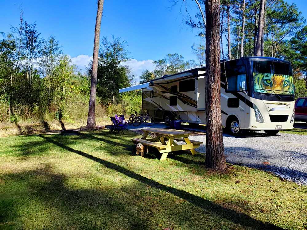 Fireside RV Resort - Ponchatoula, LA - Photo 5