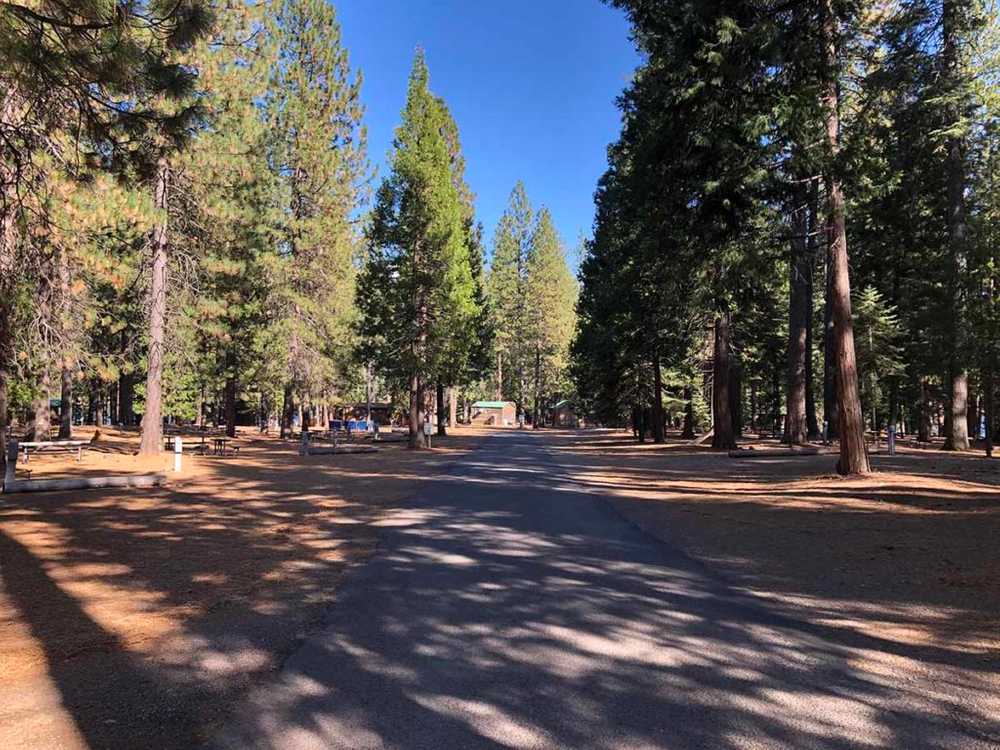 Lake Siskiyou Camp Resort - Mt. Shasta City, California - Campspot