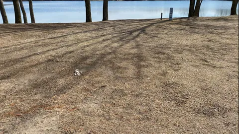 Waterfront RV Back In — image 2 of 4