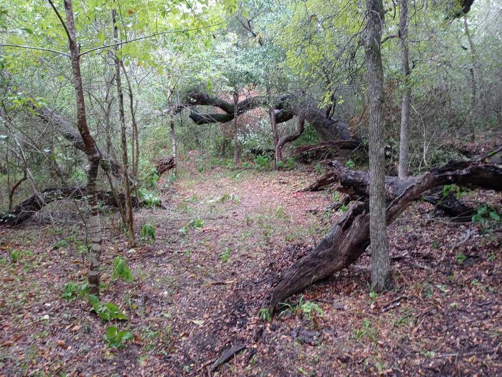 Park Image 5