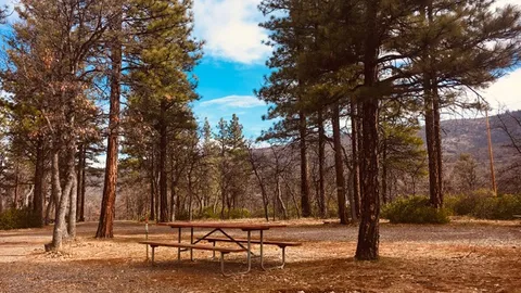 Prime Full Hookup RV Site — image 1 of 14